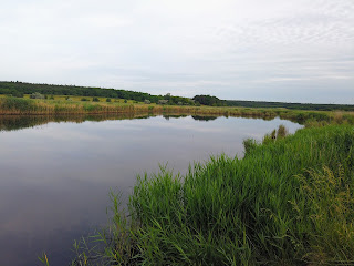 Каменка, Добропольский р-н, Донецкая обл. Заказник «Заплава реки Бык»