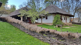 Imagini pentru imagini muzeul satului