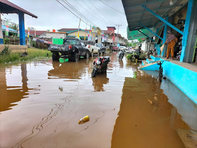 Sebanyak 5 Desa di Sekadau Terendam Banjir