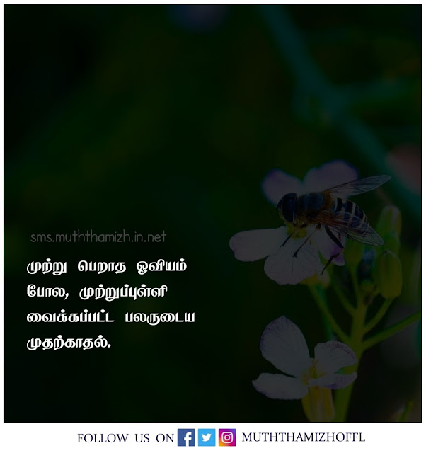 Tamil Love SMS Quotes