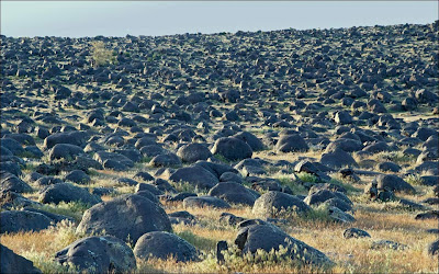 Lake Bonneville flood boulders near Swan Falls. Snake River Canyon.