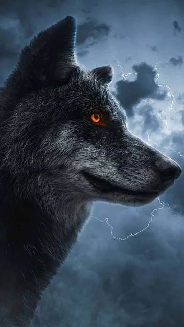 Thunder Lonely Wolf Phone Wallpaper