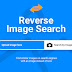 Reverse Image Search  - Find Similar Images or Photos