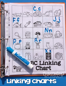 Guided Reading:  ABCs and Linking Charts
