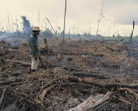 Agriculture and land use changes, such as in Indonesia, represent the second largest source of GHG emissions. (Image Credit: GIZ) Click to Enlarge.