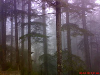 View of patnitop