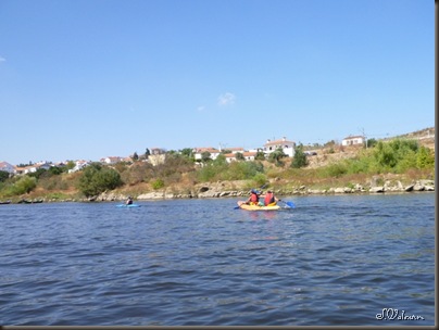 P1030991