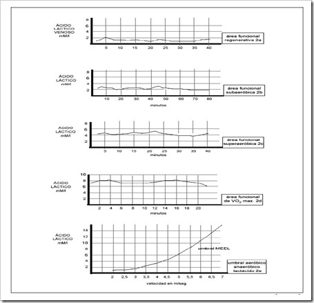 areas funcionales acido lactico padel balquinta