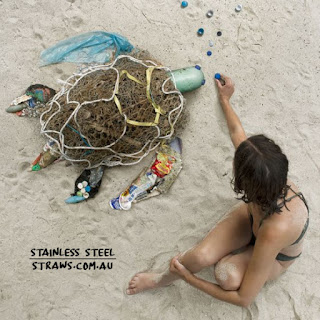 plastic artwork of turtle at beach