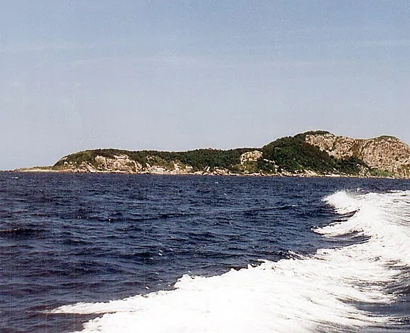 Snake Island of Brazil named Ilha da Queimada Grande