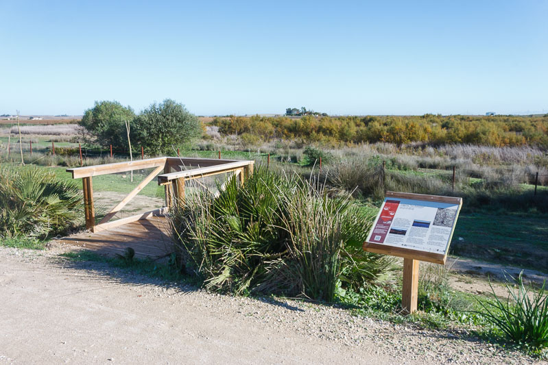 Laguna la Juncosa in El Puerto de Santa Maria