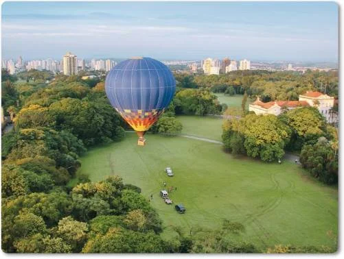 Paisagem de campos verdes, ao longe uma cidade e um lindo balão  que se afasta  no alto céu.