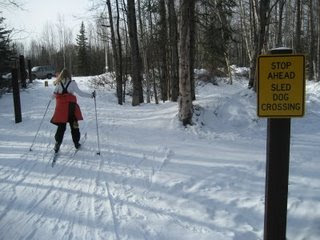 Cross Country Skiing at Campbell Creek Science Center