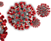 Live Corona Virus Countdown India Report (COVID19)