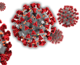 Live Corona Virus Countdown India Report (COVID19)