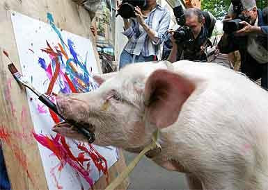 porco pintor