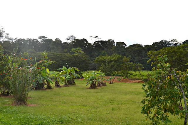 Guyane, auberge des orpailleurs, où dormir