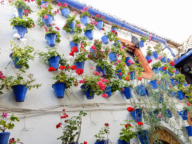 Patios de Córdoba