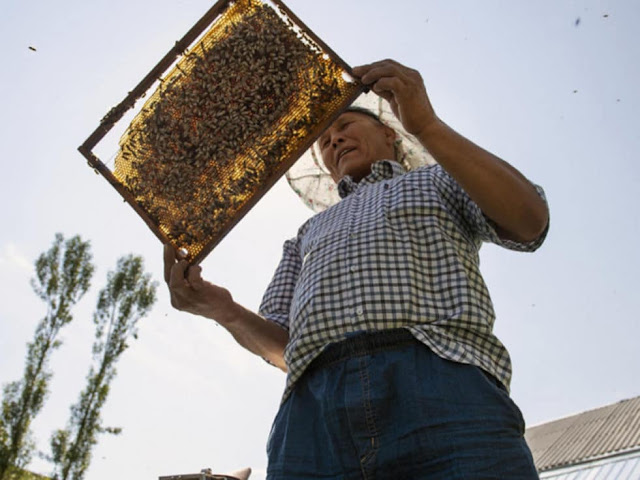 kyrgyzstan honey art craft, kyrgyzstan ends statelessness, kyrgyzstan traditions