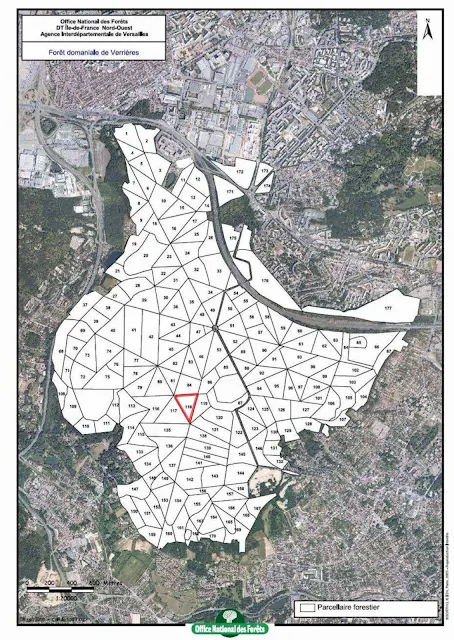 Plan de parcelles forêt de Verrières