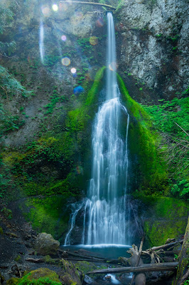 Marymere Falls, Olympic National Park