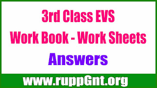 AP 3rd Class EVS Work Book - Work Sheet Answers Download