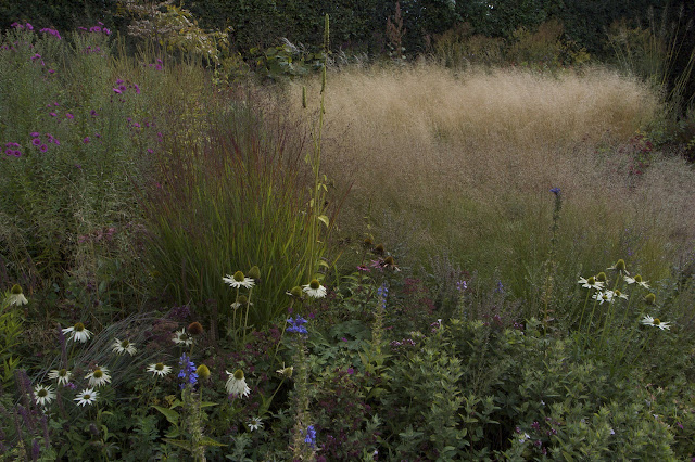 Jardín de Piet Oudolf en Hummelo