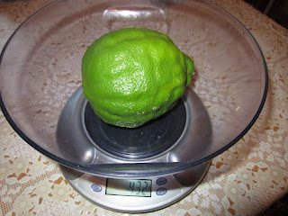 Плод лимона Пандерозы