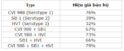 Hình 3: Bảng hiệu giá bảo hộ của vaccine