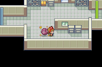 Pokemon Emerald DX Screenshot 04