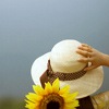 sunflower5rv_edited-1