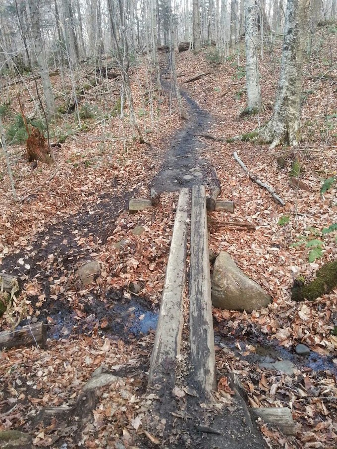 Algonquin Peak (NY, USA) - 5,115ft (1,559m)