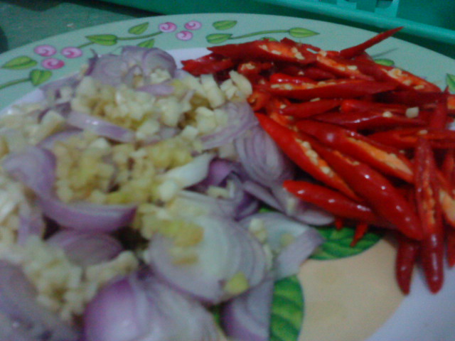 CoReTaN DraMa HiDup Ku!!!!: resepi sambal goreng jawa nyum2 =)