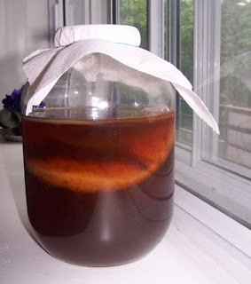 kombucha