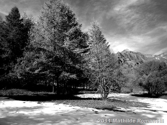 Black Mountain