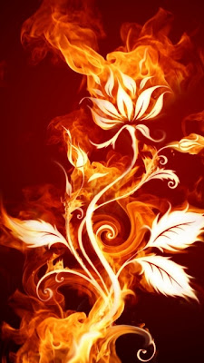 Fantastic And Cool Burning Fire 3D Wallpaper For Android