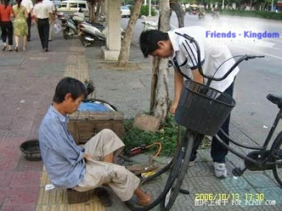 Friends - Kingdom