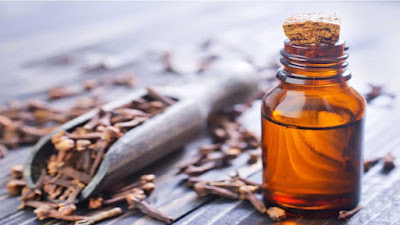 Clove and Clove Oil