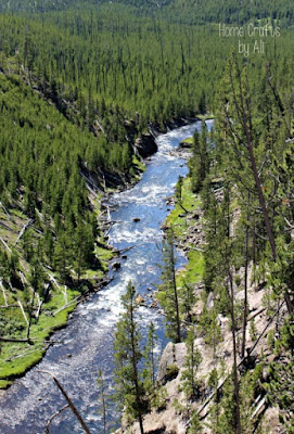 Gibbon River in sunlight