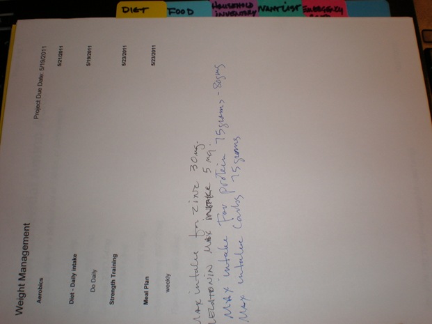 Personal organization book 2
