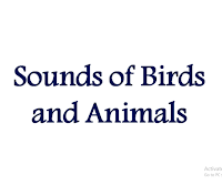 Sounds of animals and birds