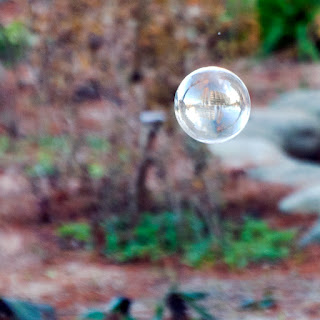 向かいの公園で子どもたちがシャボン玉に興じています。子どもたちの側では父親が、スマホのカメラで一生懸命に動画を撮影中です。