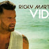 Download Vida  - Ricky Martin mp3