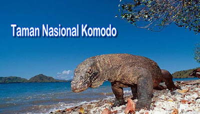 Taman-Nasional-Komodo