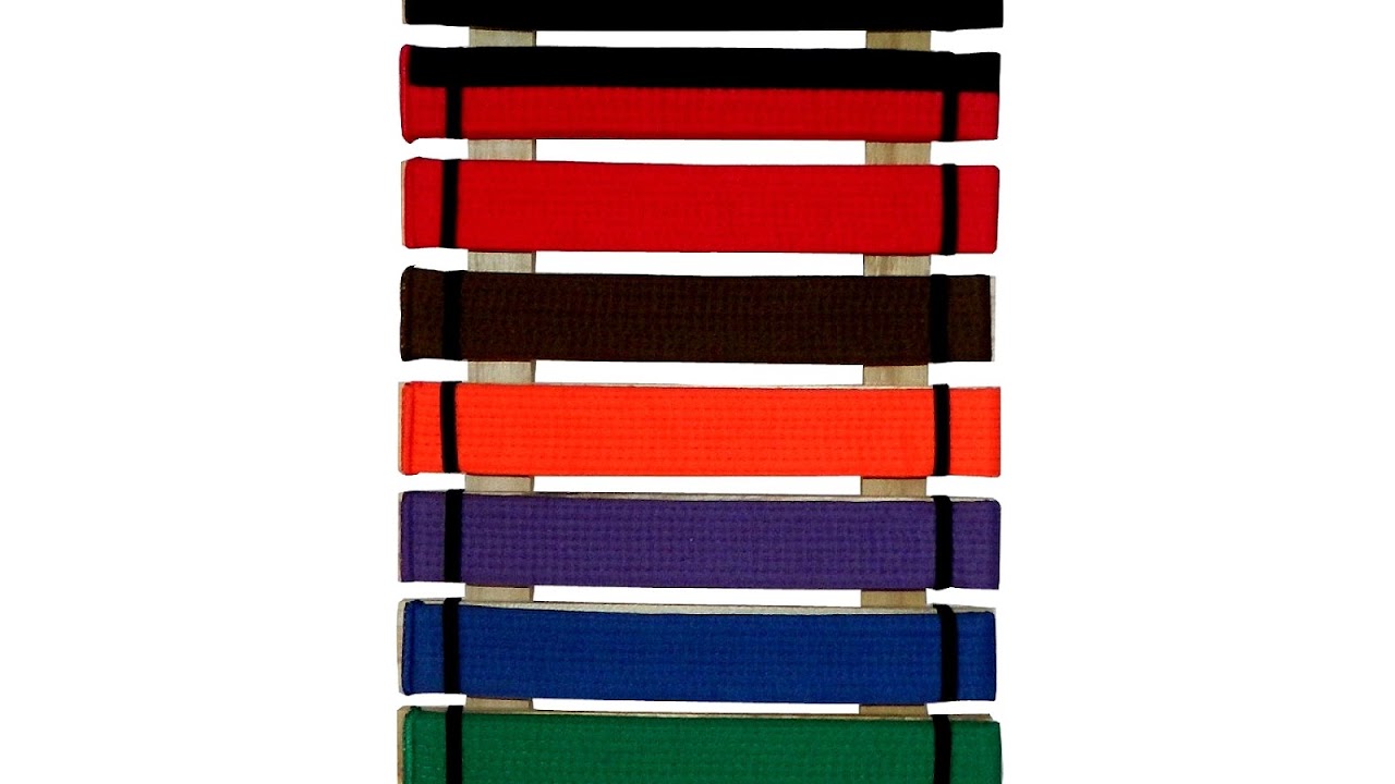 All The Belts In Karate In Order
