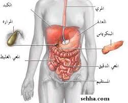 وصفه وخلطة أعشاب لعلاج التهاب الأمعاء الغليظه Diverticulilis الردبي