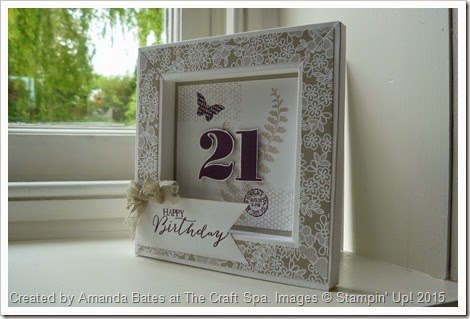 Butterfly Basics 21st Box Frame Card 002