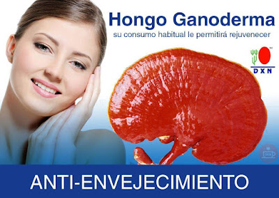 ganoderma - salud y exito