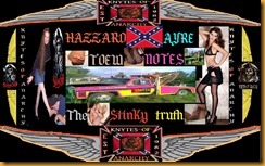 stinky truth toew notes