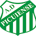 Picuiense e outros clubes paraibanos estão habilitados para receber o patrocínio do Detran-PB em 2025.